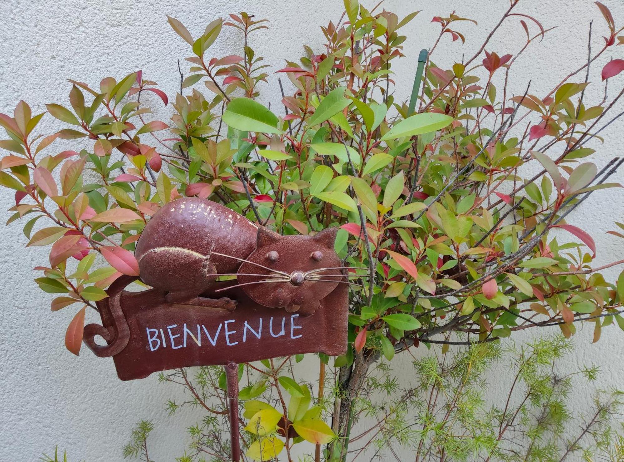 Du Cote De Chez Paule, Chambre Avec Entree Independante Et Salle D'Eau Privative Séméac Buitenkant foto